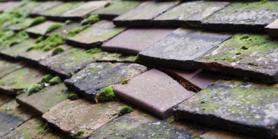 Penboyr roof repair costs